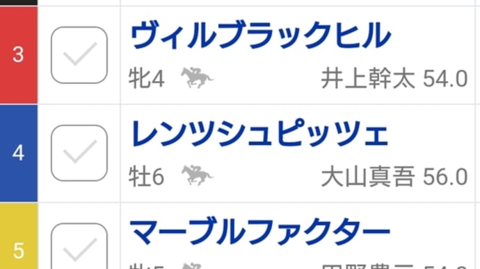 タイキクラージュ 1/11 新年初出走