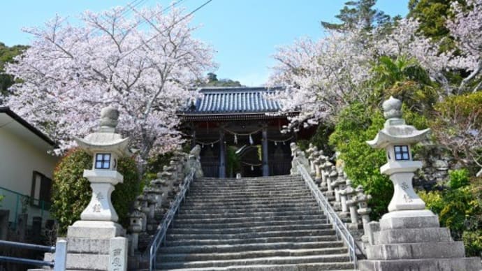 赤穂市 桜めぐり '25