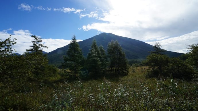 戦場ヶ原・小田代ヶ原