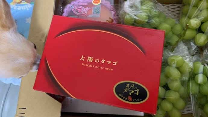 薬のこと。いただき物のこと。ことのこと。