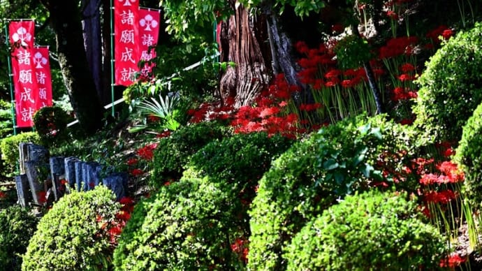 元善光寺さんに
