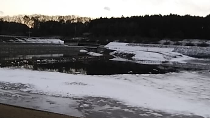 小田島 渚/束の間の悲しみなれば鶴を呼ぶ