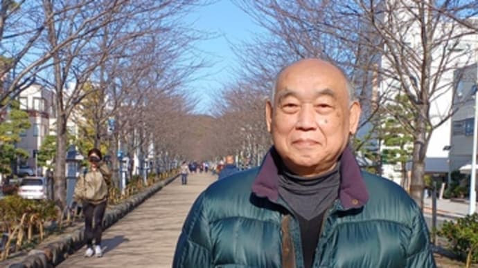 お薦め散歩 鎌倉鶴岡八幡宮・大仏