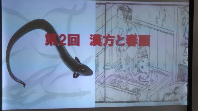 漢方と春画