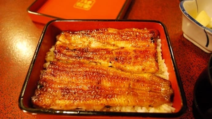 #4015 うなぎ桜家('15春家族旅行_13)