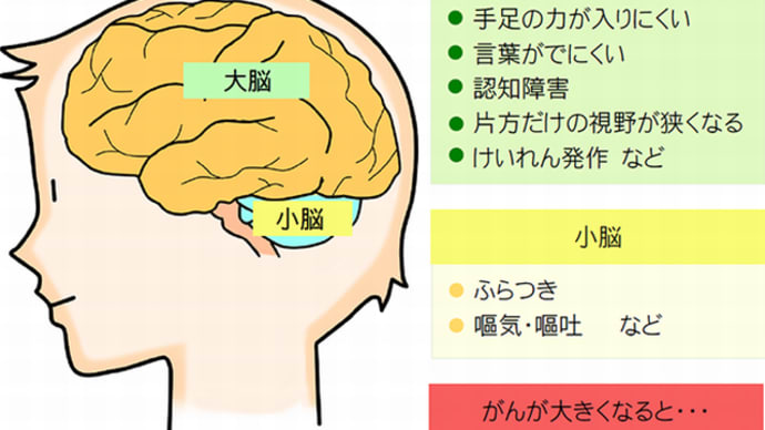 『リハビリ』『脳の左半球傷害と失語症』『脳の右半球障害』