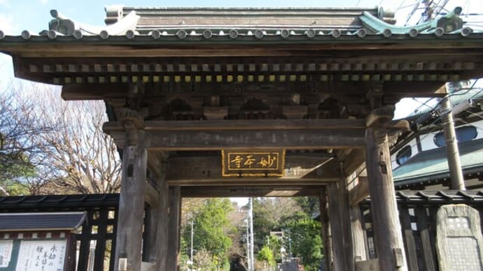 鎌倉　妙本寺の紅葉