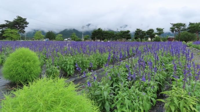安曇野ちひろ美術館