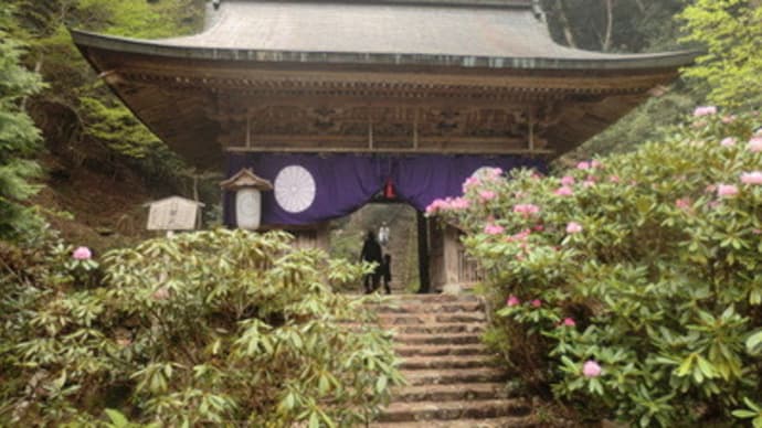 岩屋山志明院（その１）　＠　京都妖怪探訪（３２９）