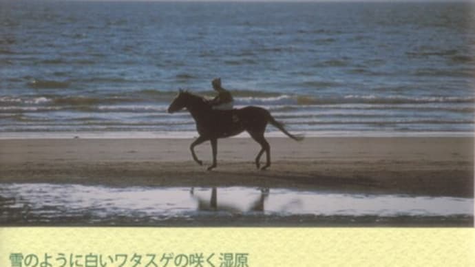 アイルランド 自然・歴史・物語の旅