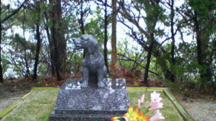詩島宿泊体験