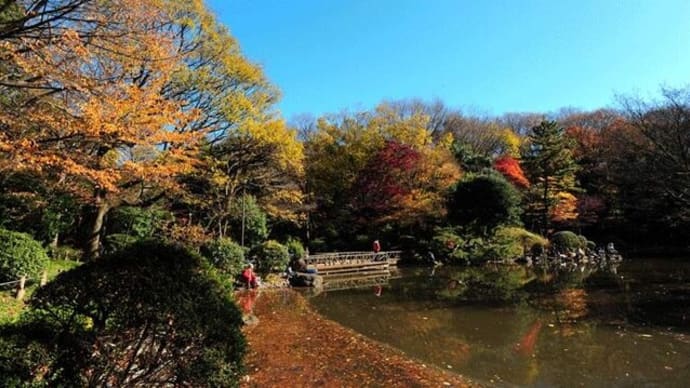有栖川公園:東京都港区南麻布
