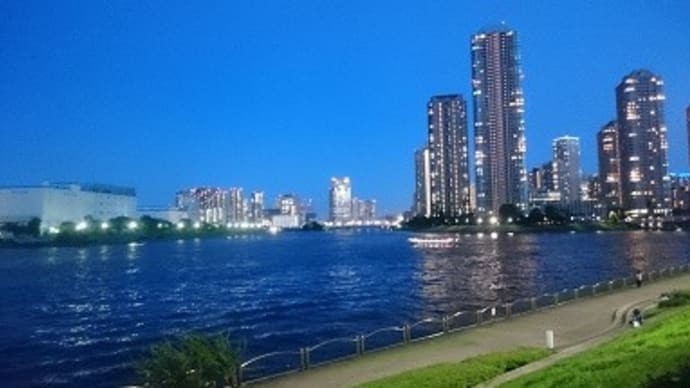 10日ぶりの散歩は夜