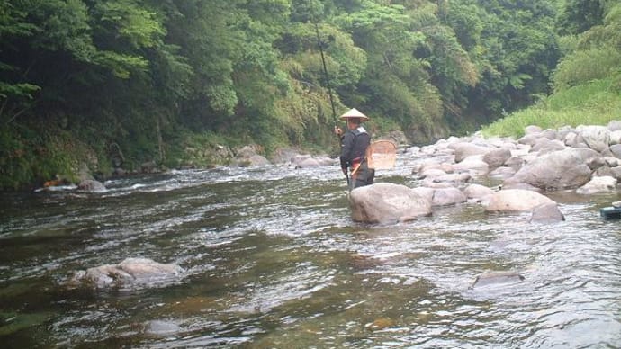 減水で鮎の釣果が伸びない亀尾島川と那比川！！！