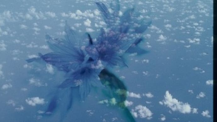 カメ漫だらだら石ちゃん散歩 この間は、好きな映画のことを書きましたが・・・もう映画を見なくなって何年に?