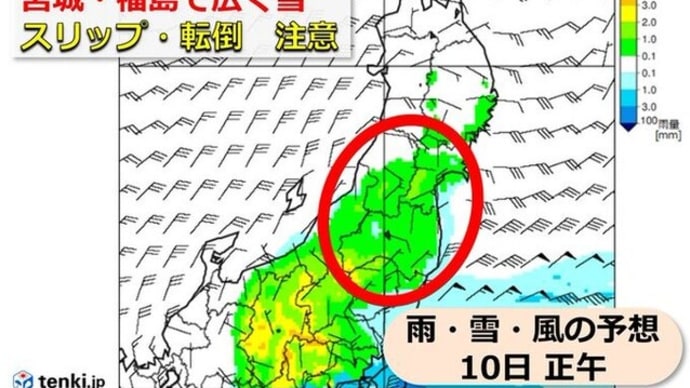 いわゆる台湾坊主、南岸低気圧による降雪に関東甲信越地方など太平洋側の方々は警戒を！！