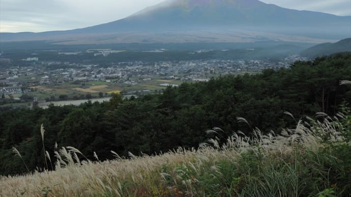 芦川すずらん群生地から登りたかった #1