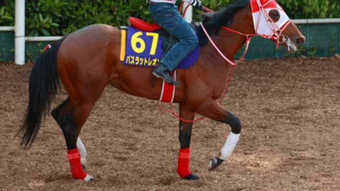 【バスラットレオン】マイル路線への転換、そして藤岡佑騎手との再会