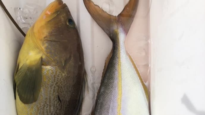 2号船午前便タテ釣りです。