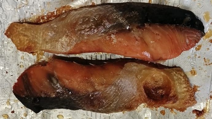 【01/31朝食その2】アメリカ産塩紅鮭、時間的にはお十時なんだね:P