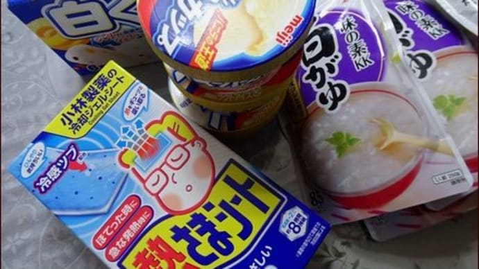 モデルナで発熱中★秋花壇の準備