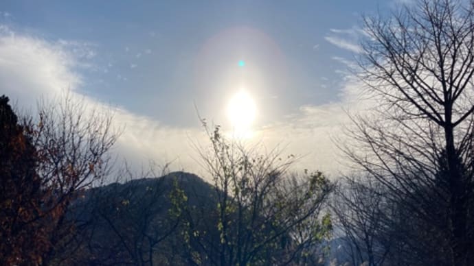 今日のあれこれ