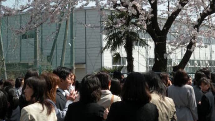 桜満開！入学式