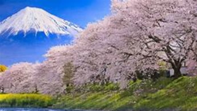 陽性の方の半数以上が感染経路が分からない?それな髪の毛の不思議が・・・。