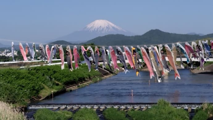 富士山バックに游ぐ鯉のぼり