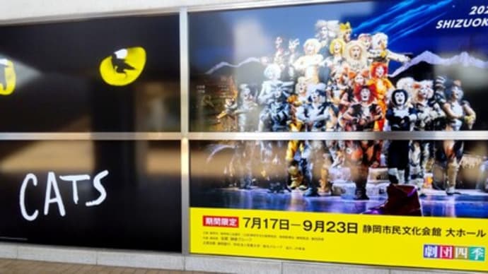 静岡CATS
