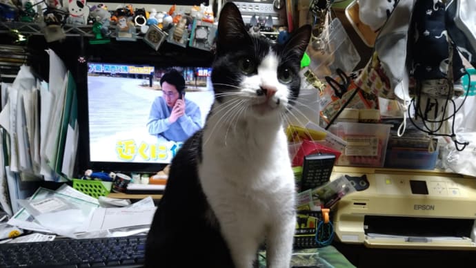 も少し考えてやればよかったな
