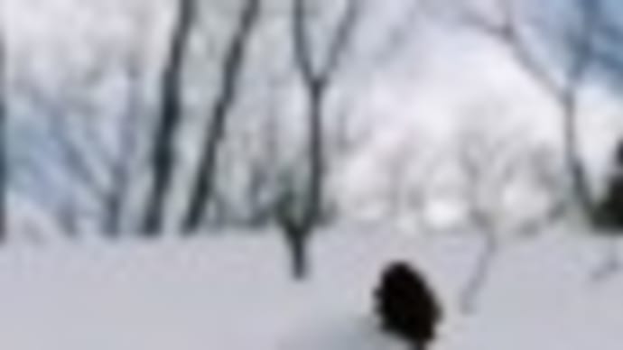桑畑晃蔵のドラクエ大好きブログ!そろそろ春!ファイナル雪遊び!♪
