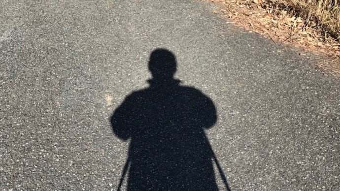 いつの間にか骨折?