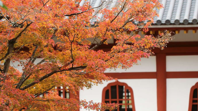 キラリ! 宇治平等院
