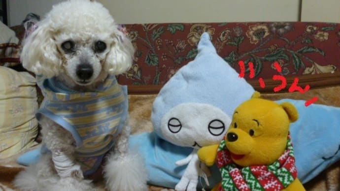 梅雨前の貴重なお休みの晴れ~ヽ(*⌒∇⌒*)ノ ちょっとだけ福岡のお土産