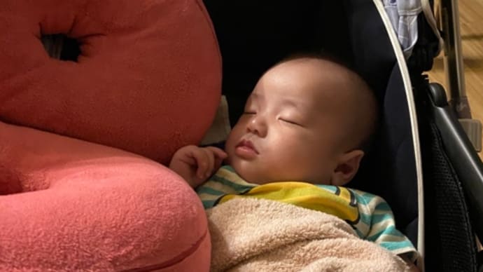 どうしよう