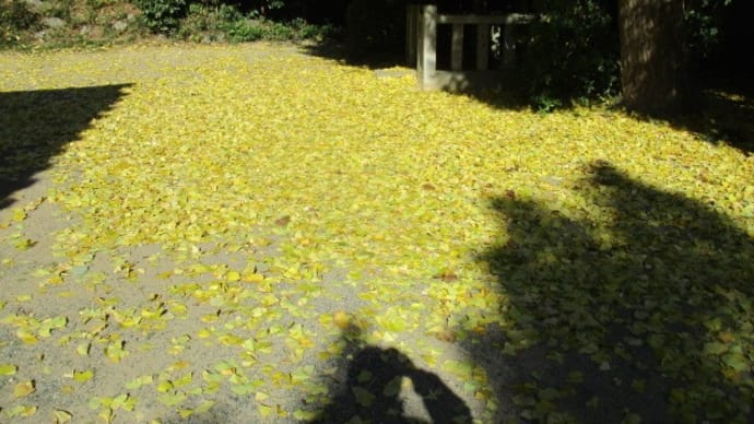 薪と一緒に燃やすの