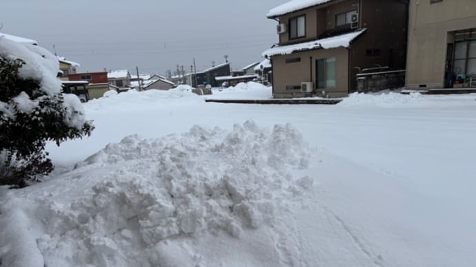 春雪に変わってきたが