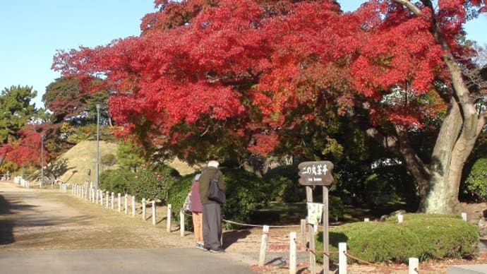 名古屋城の紅葉
