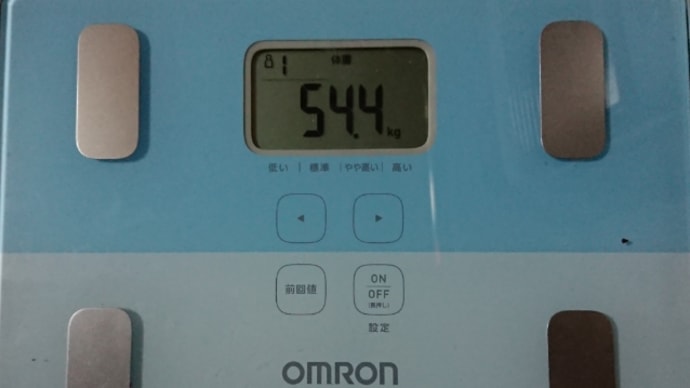 ダイエット253日目