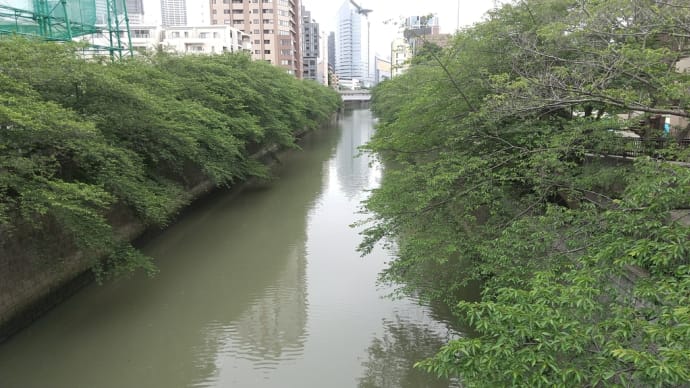 現在の目黒川