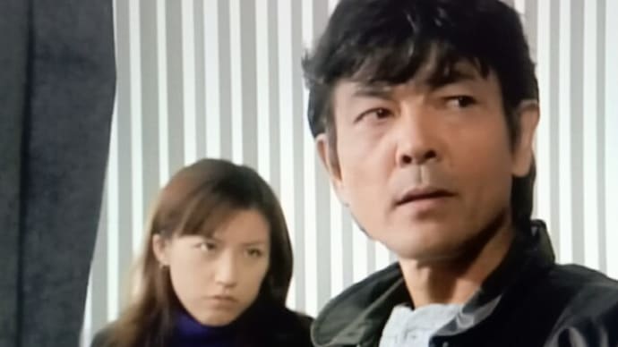 『はみだし刑事情熱系』5ー#13