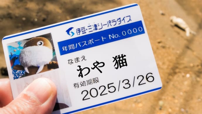 みとしーの年パスが料金改定するぞ!