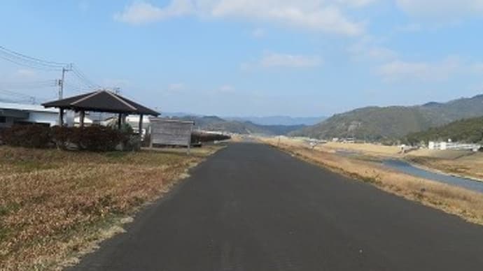 春を探して