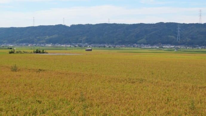 ★きょうから9月、世俗の風景