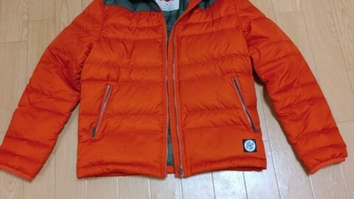 【ラッキー!第二弾】中古リーバイス・ダウンジャケット購入!
