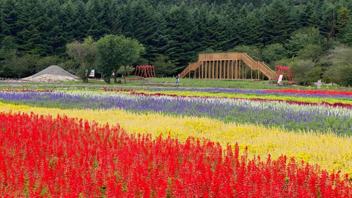 山梨ドライブ観光 その2 本栖湖リゾート 浅間神社