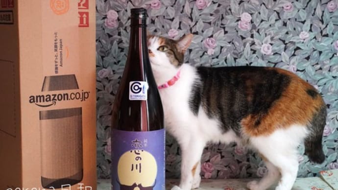 恋の川 満月と猫ラベル