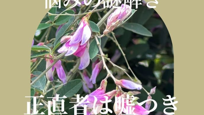 【心理カウンセラー資格・悩みの謎解き:正直者は嘘つき】