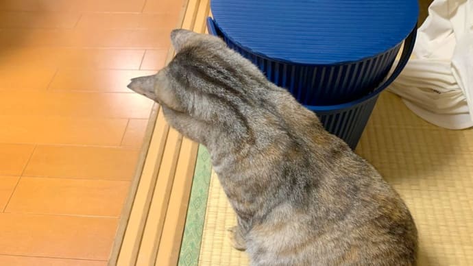 後頭部アゲイン。